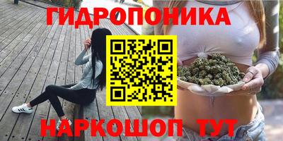 Альфа ПВП Будённовск
