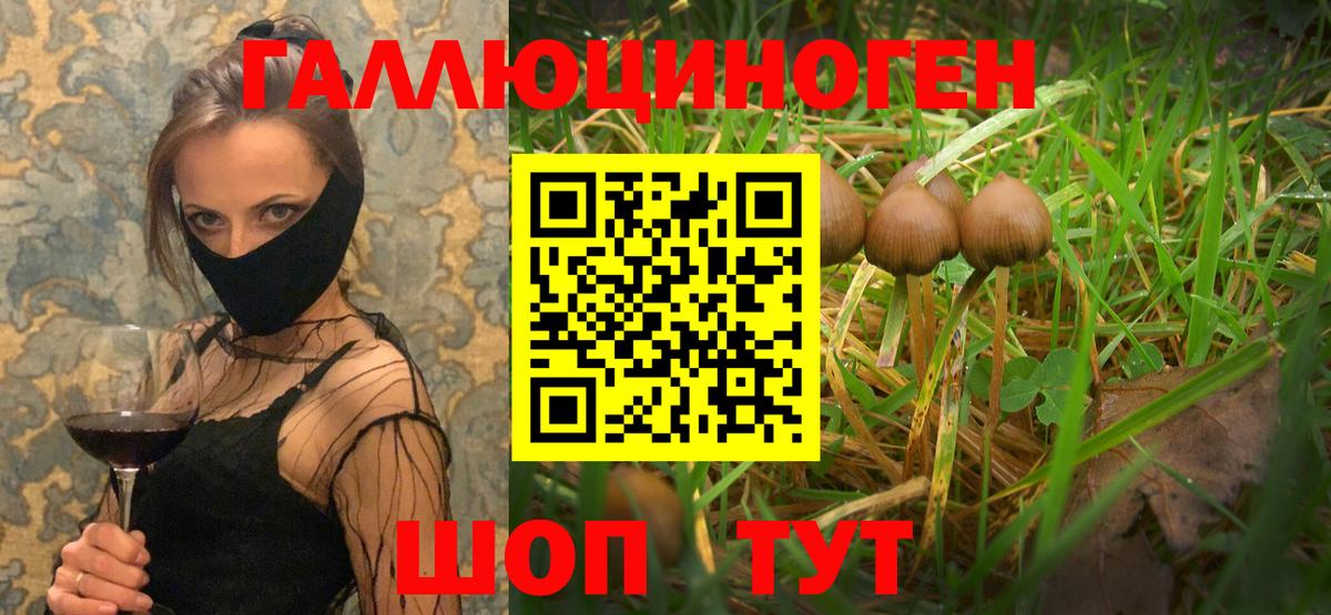 Благовещенск  Псилоцибиновые грибы Magic Shrooms  Вход с VPN 